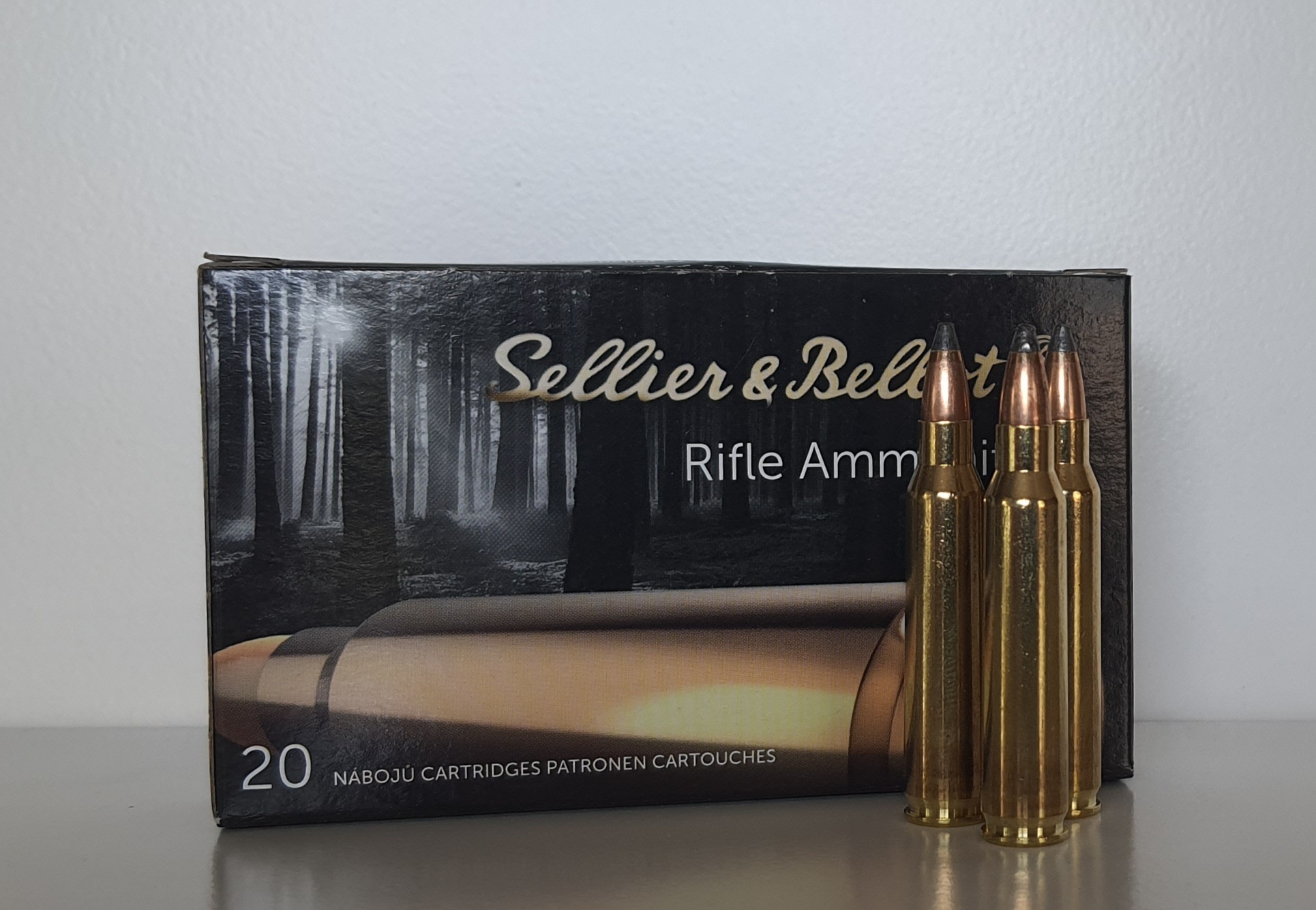 .223Rem 55gr SP S&B